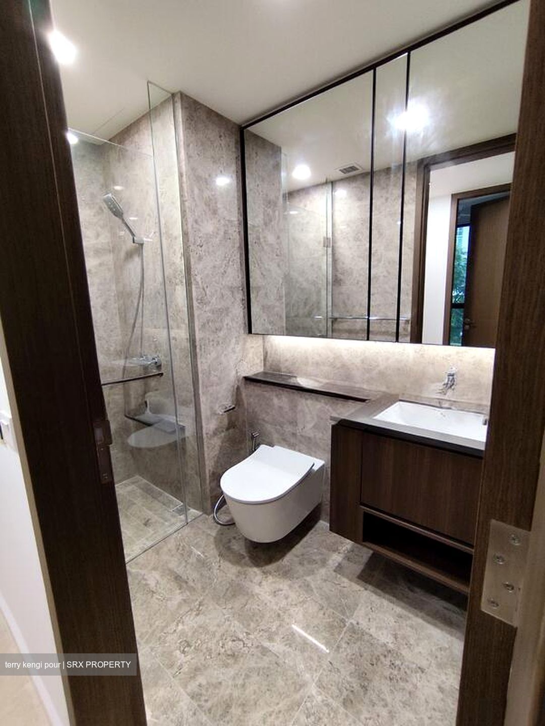 Kopar At Newton (D9), Apartment #519253141